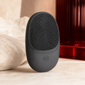 AscendLab Sonic Facial Brush — szary